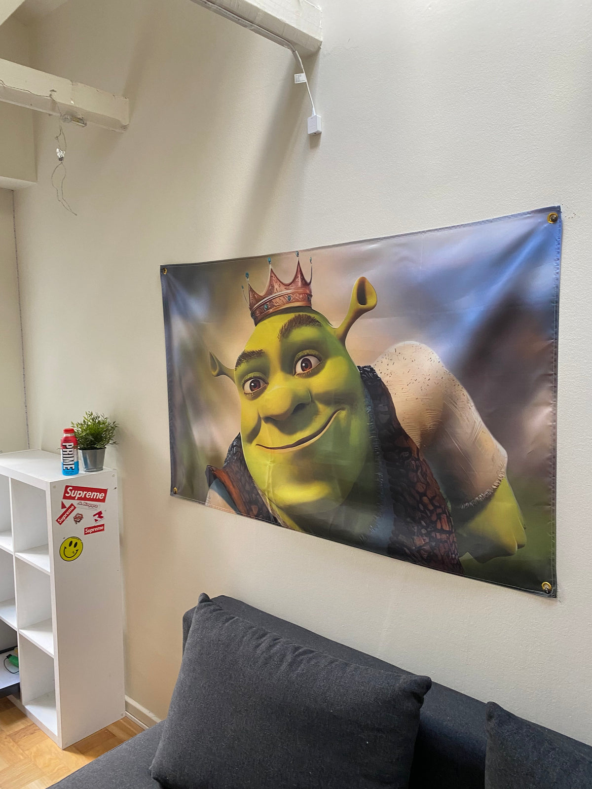 Værelse med Shrek Flag
